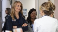 Greys Anatomy